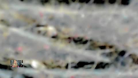 Femboy Exotic online show from 16, 2, 2025