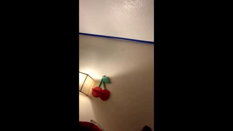 xtika online show from 19, 1, 2025