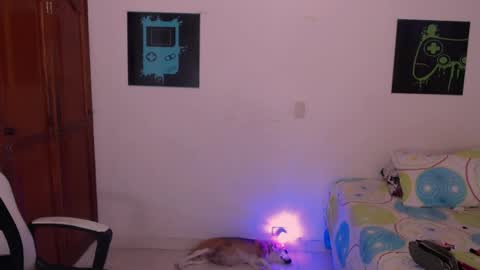 Jacky online show from 7, 4, 2026