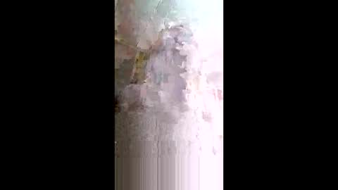 xxjessiebugxx online show from 14, 5, 2026