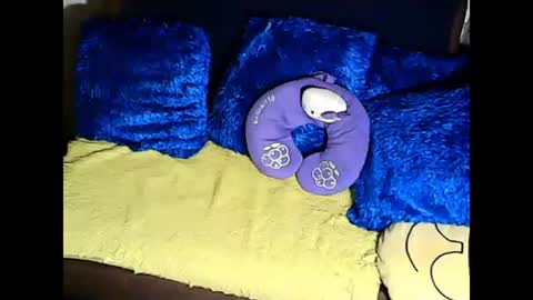 xxloveheart online show from 8, 3, 2025