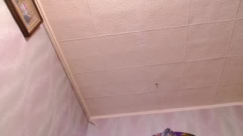 isa and gonzo online show from 20, 12, 2024