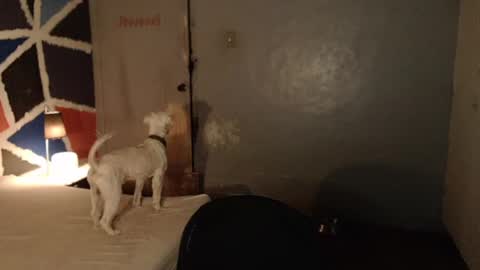 Snapshot of xxxsexydollxxx chatting on 4, 2, 2025 Melissa online show from 4, 2, 2025