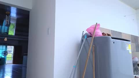 xxxtatianabustyxxx online show from 26, 9, 2025