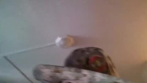 yahushuaha online show from 9, 9, 2025