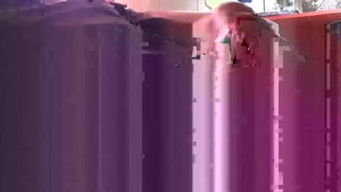 yangolox3 online show from 4, 10, 2025