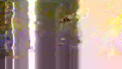 Snapshot of yangolox3 chatting on 12, 5, 2026 yangolox3 online show from 12, 5, 2026