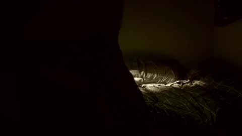 Snapshot of yaradeeyarama chatting on 8, 2, 2026 yaradeeyarama online show from 8, 2, 2026