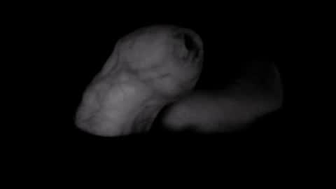 Snapshot of yeasayer004 chatting on 8, 10, 2025 yeasayer online show from 8, 10, 2025