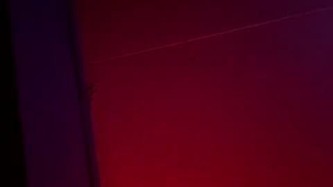 Ella Ts online show from 1, 12, 2025