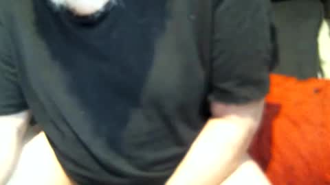 .     y e l l o w s n a k e s       . online show from 23, 2, 2025