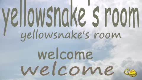 .     y e l l o w s n a k e s       . online show from 30, 9, 2025