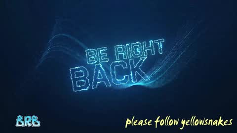 .     y e l l o w s n a k e s       . online show from 2, 10, 2025