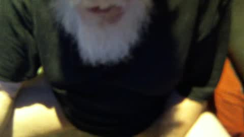 .     y e l l o w s n a k e s       . online show from 5, 10, 2025