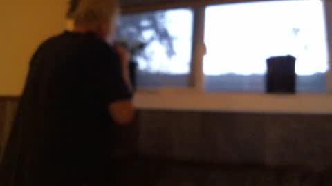 .     y e l l o w s n a k e s       . online show from 19, 10, 2025