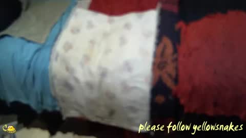 .     y e l l o w s n a k e s       . online show from 7, 11, 2025