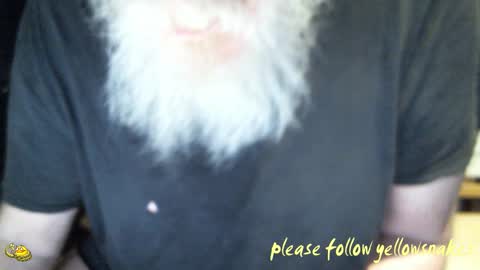 .     y e l l o w s n a k e s       . online show from 10, 2, 2026