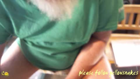 .     y e l l o w s n a k e s       . online show from 19, 3, 2026