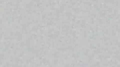 Snapshot of yellowsnakes chatting on 14, 7, 2026 . y e l l o w s n a k e s . online show from 14, 7, 2026