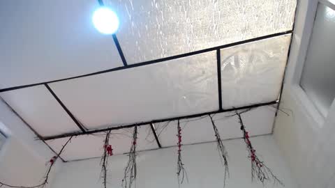 YEM online show from 23, 3, 2026