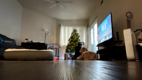 Snapshot of ynaong chatting on 18, 12, 2024 Palmela Handerson online show from 18, 12, 2024