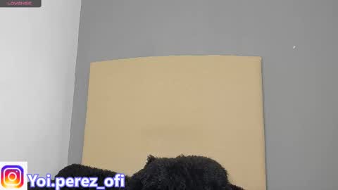 Yoi Olimpo online show from 12, 2, 2025