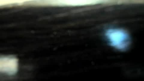 yoonhee_ki online show from 5, 4, 2026