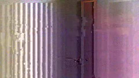 yorel64 online show from 16, 2, 2025