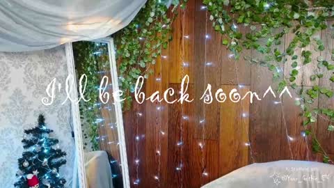 Stella online show from 12, 12, 2024