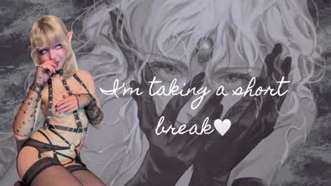 Stella online show from 15, 12, 2024