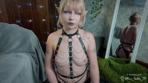 Stella online show from 5, 1, 2025