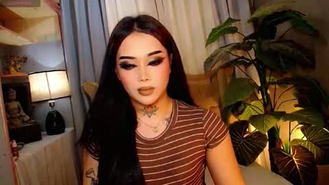 kim online show from 23, 11, 2025