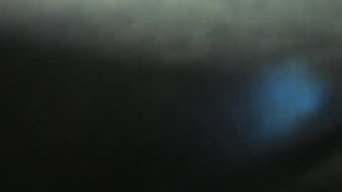 Snapshot of yourfantasyc chatting on 11, 1, 2025 Evelline online show from 11, 1, 2025