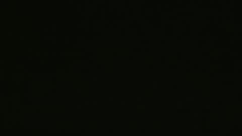 yourpersonalgeniusl online show from 25, 12, 2024