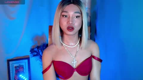 Stella online show from 14, 6, 2026