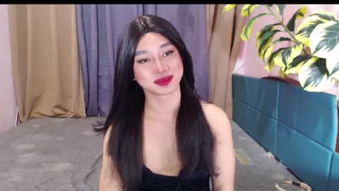 Stella online show from 3, 7, 2026