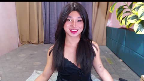 Stella online show from 8, 7, 2026