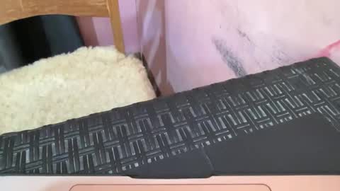 yourspecialgirl_rhea online show from 11, 4, 2026