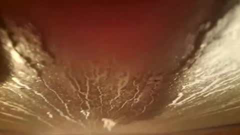 Snapshot of youth505 chatting on 5, 12, 2025 youth505 online show from 5, 12, 2025