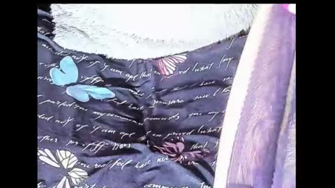 Yukio Davis  online show from 10, 10, 2025