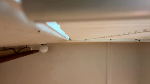 yungstudbev online show from 1, 3, 2026