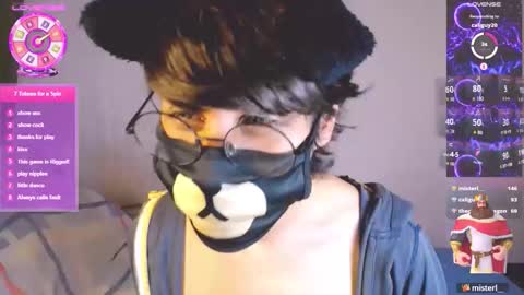 the puppy boy online show from 5, 3, 2026