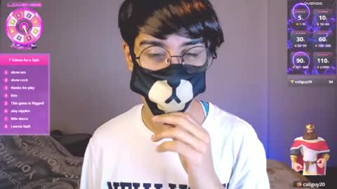 the puppy boy online show from 21, 7, 2026