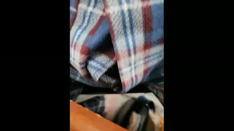 yuppers1234 online show from 5, 2, 2025