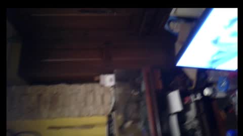 pollasucia13 online show from 26, 12, 2024