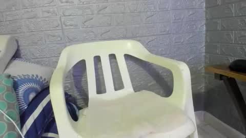 Zamara   online show from 17, 3, 2026