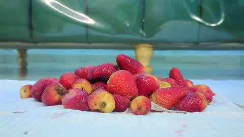 Isabella online show from 31, 3, 2026