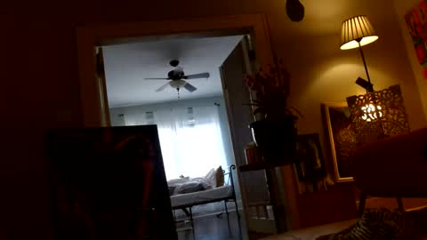 zedlav4 online show from 28, 11, 2025