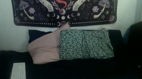 Zelda online show from 24, 1, 2025