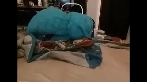 zero online show from 14, 12, 2024